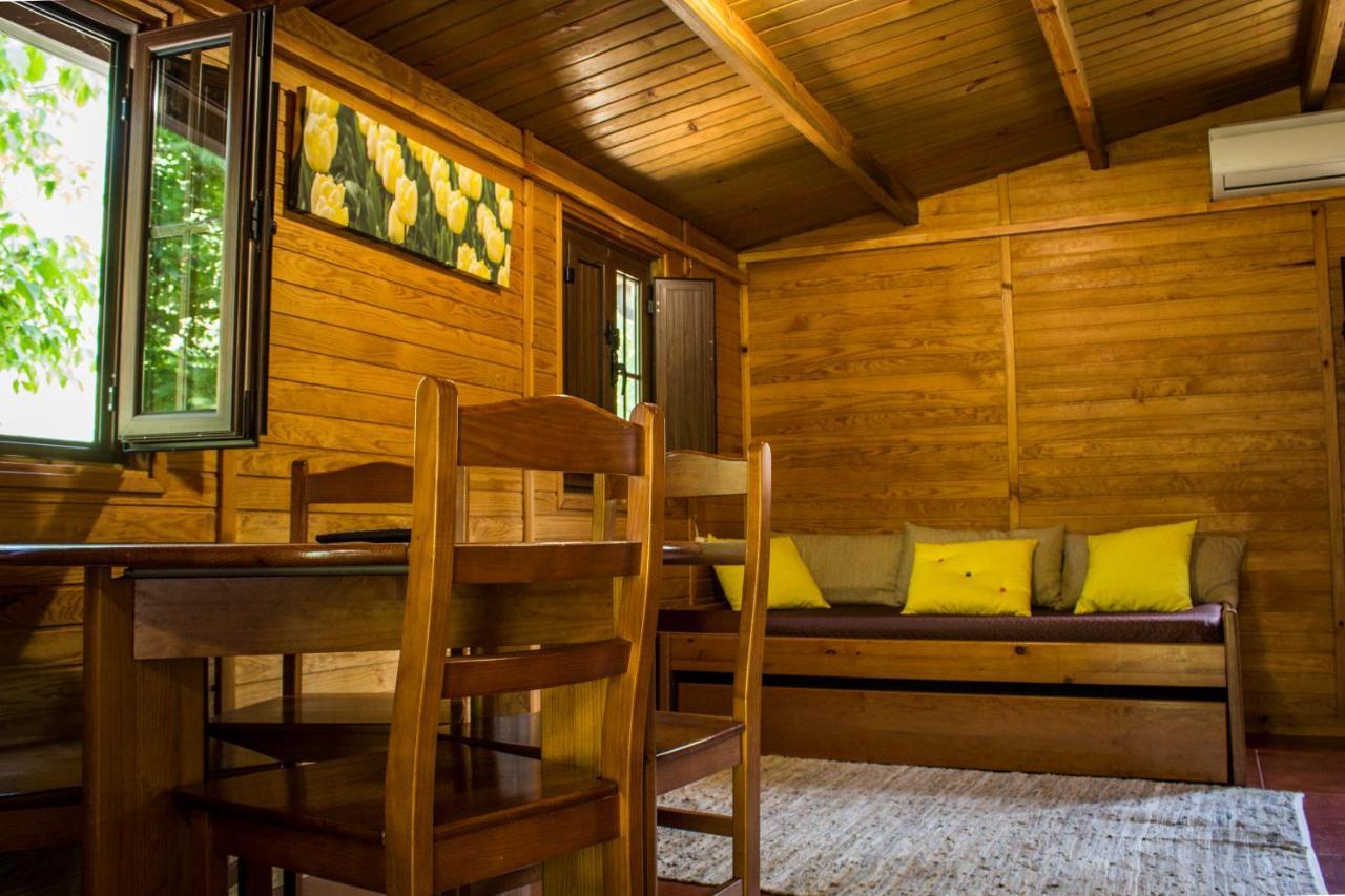 Xisto Camping Janeiro de Baixo エクステリア 写真
