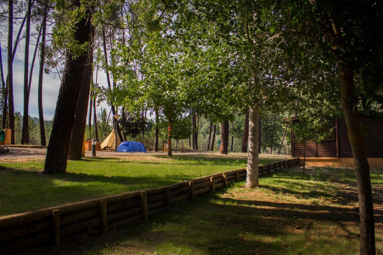 Xisto Camping Janeiro de Baixo エクステリア 写真